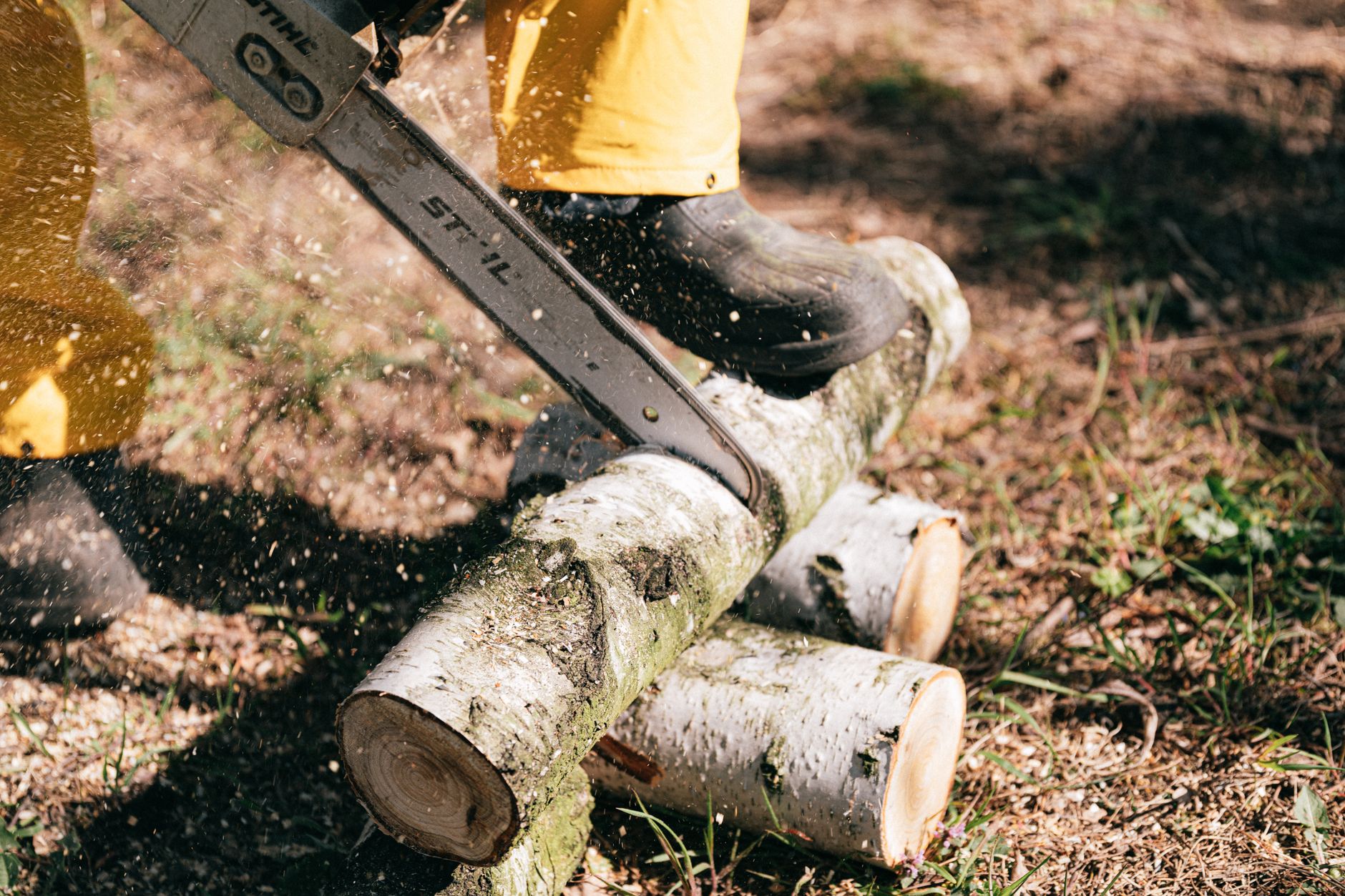 Stump Grinding — D & L Tree Services